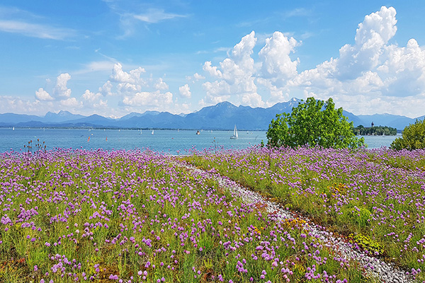 Chiemgau - Blick auf den Chiemsee