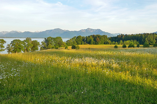 Chiemgau - Schalchenhof