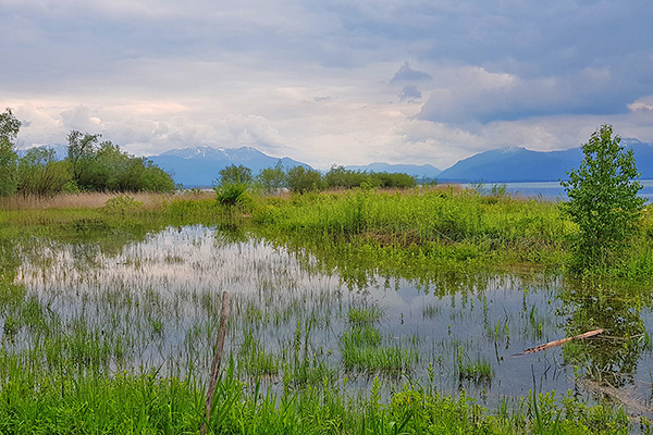 Chiemgau - Hochwasser am Chiemsee