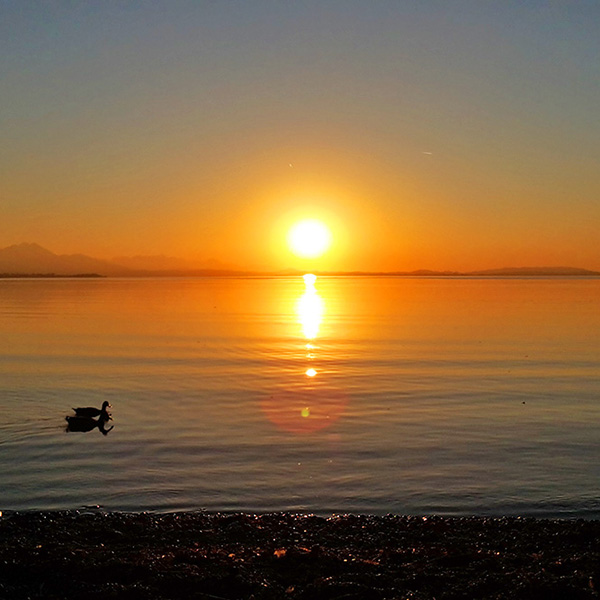 Chiemgau - Sonnenuntergang am Chiemsee