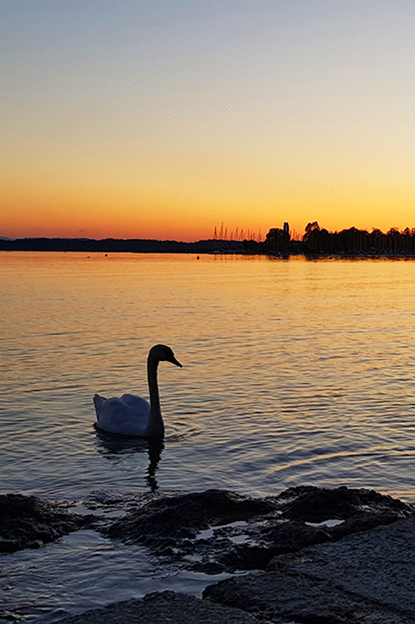 Chiemgau - Sonnenuntergang am Chiemsee, Seebruck