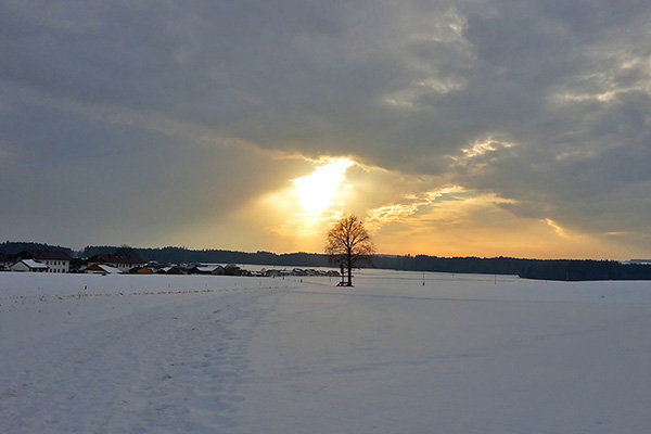 Chiemgau - Abendstimmung Pittenhart