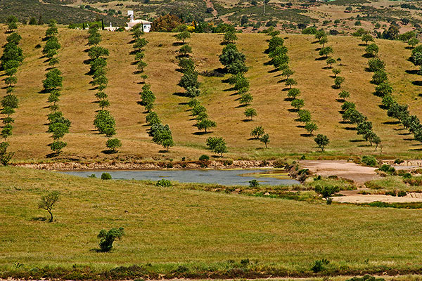 Castro Marim - Algarve