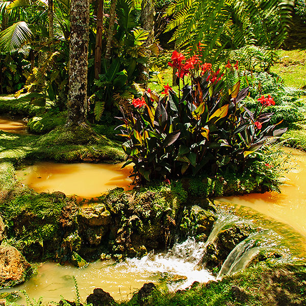 Parque Terra Nostra  - Ponta Delgada Azoren