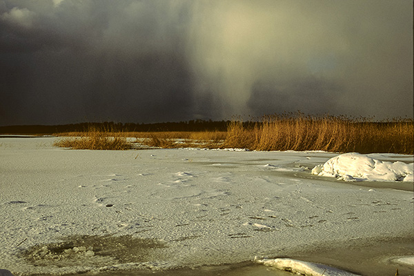 Usedom, Achterwasser