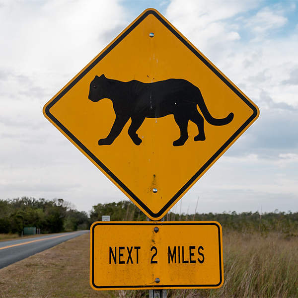 USA, Florida, Everglades Nationalpark