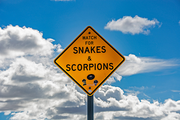 USA, Nevada, Straßenschild Schlangen, Skorpione