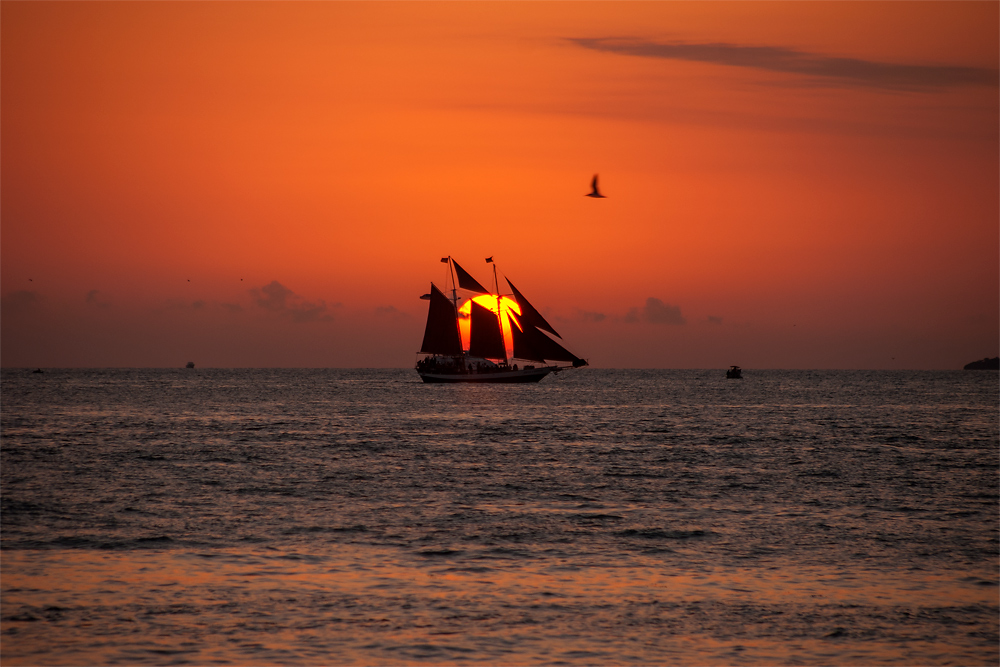 USA, Florida, Key West, Sonnenuntergang