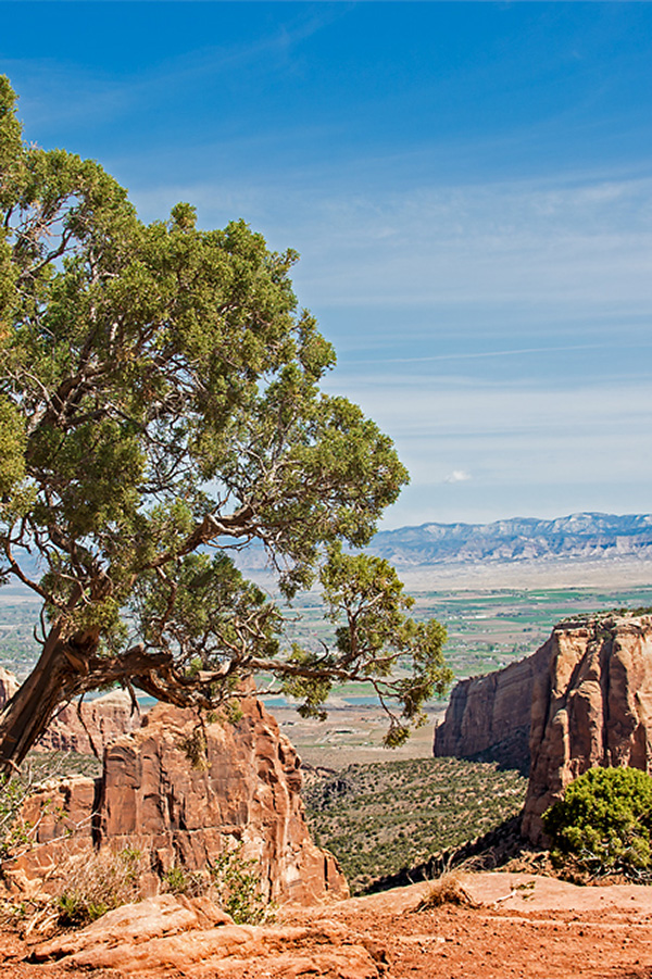 Colorado - Colorado National Monument