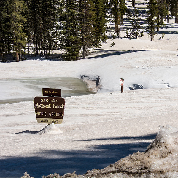 Colorado - Grand Mesa