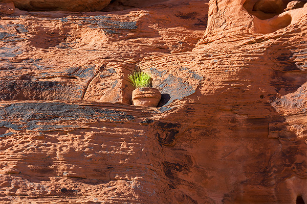 Nevada - Valley of Fire