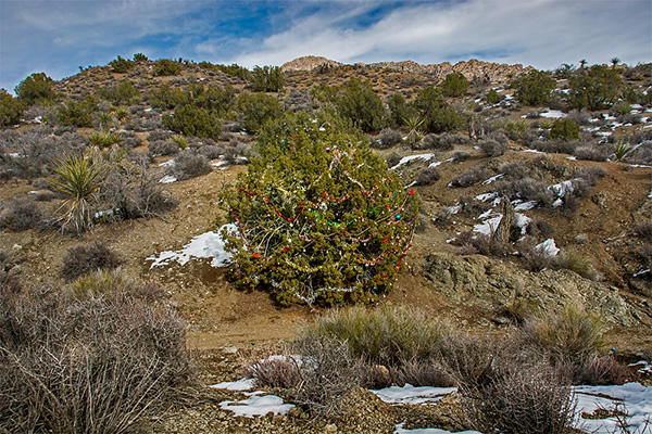 Nevada - Christmastree Pass