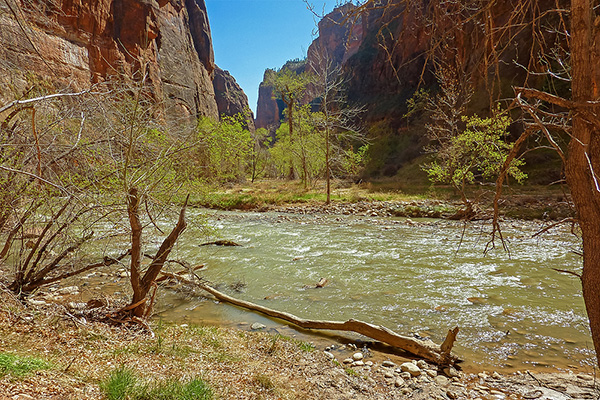 Utah - Zion Nationalpark/Virgin River