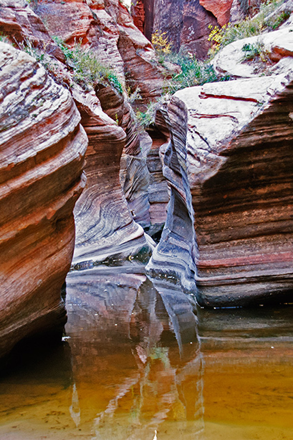 Utah - Zion Nationalpark/Echo Canyon