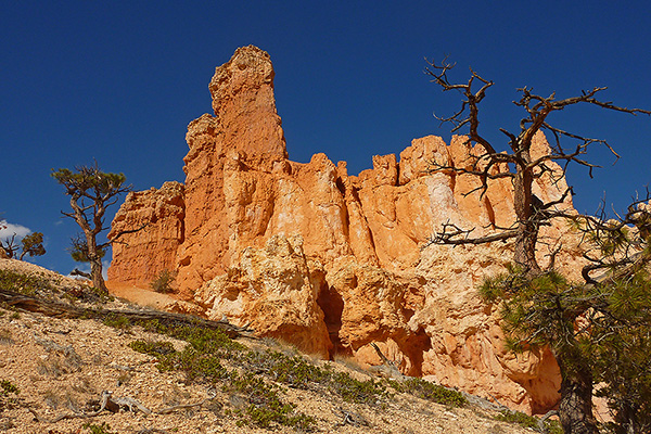 Utah - Bryce Canyon Nationalpark