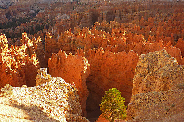 Utah - Bryce Canyon Nationalpark