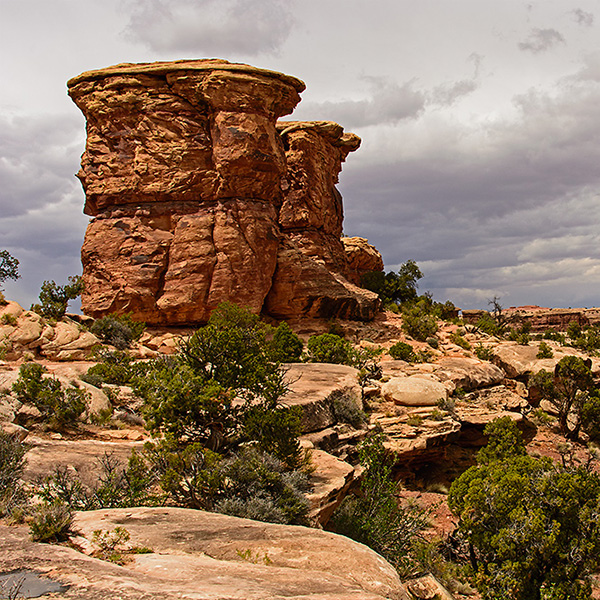 Utah - Canyon Lands/The Needles