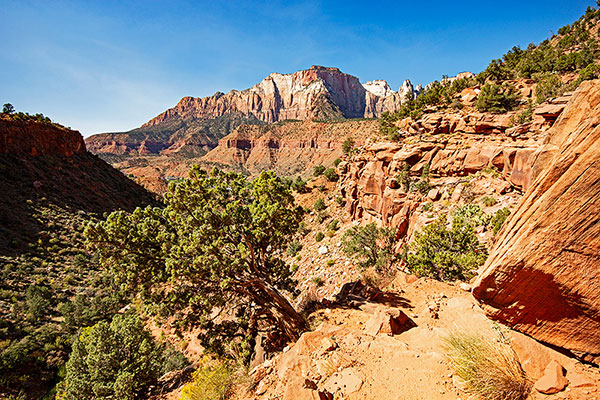 Utah - Zion Nationalpark